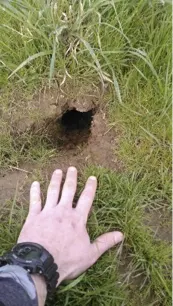 The difference between a vole hole and a regular gopher mound or mole hole